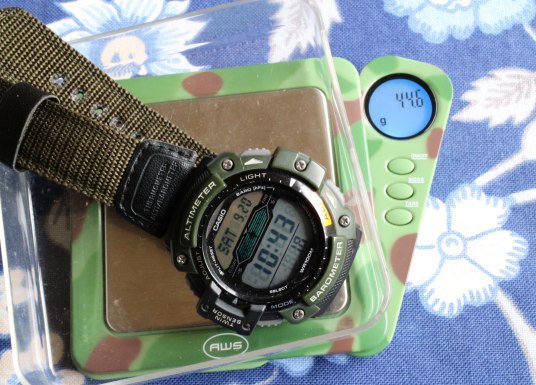 newerCasioWatchWeight